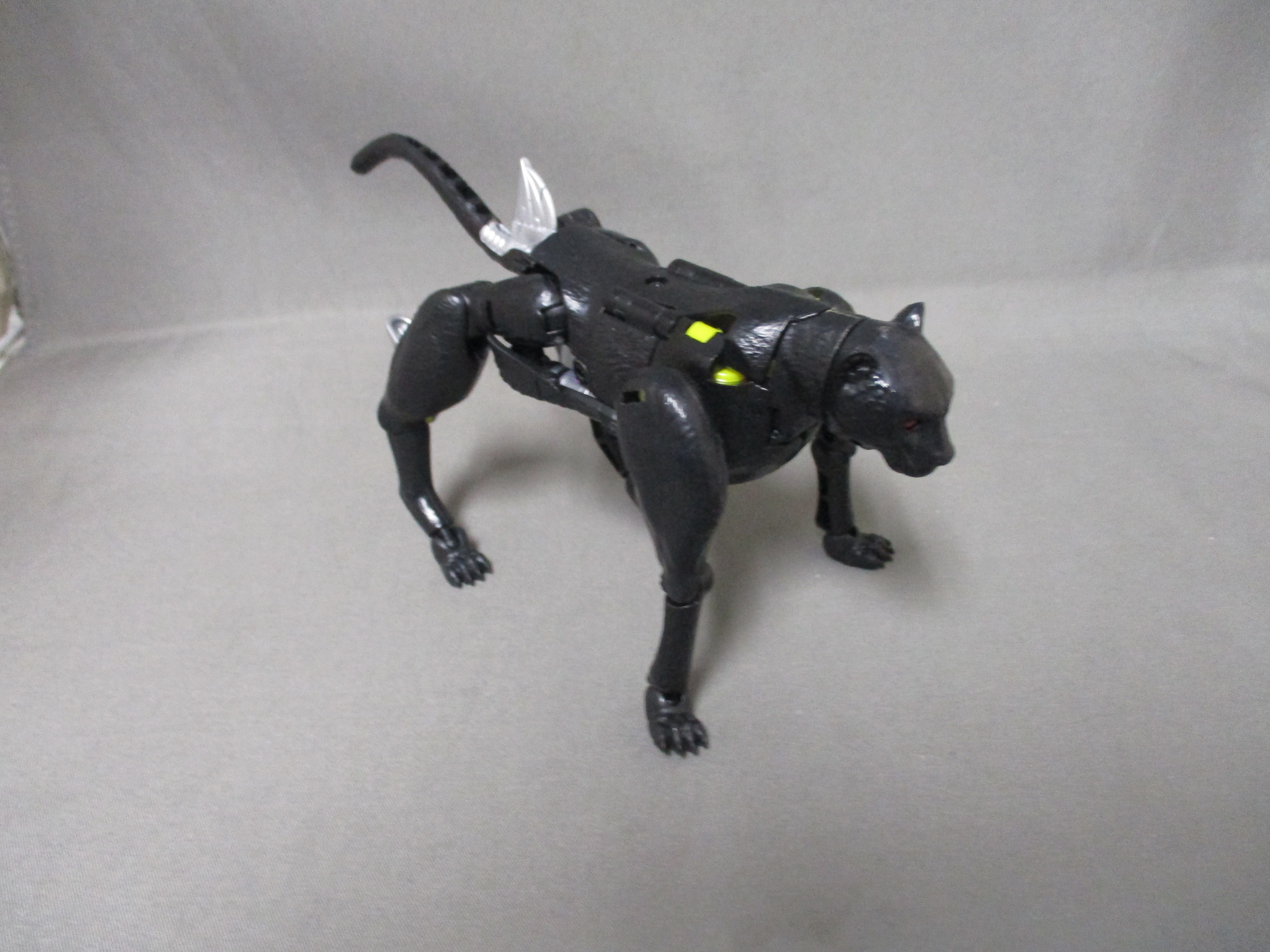 WFC Kingdom Shadow Panther