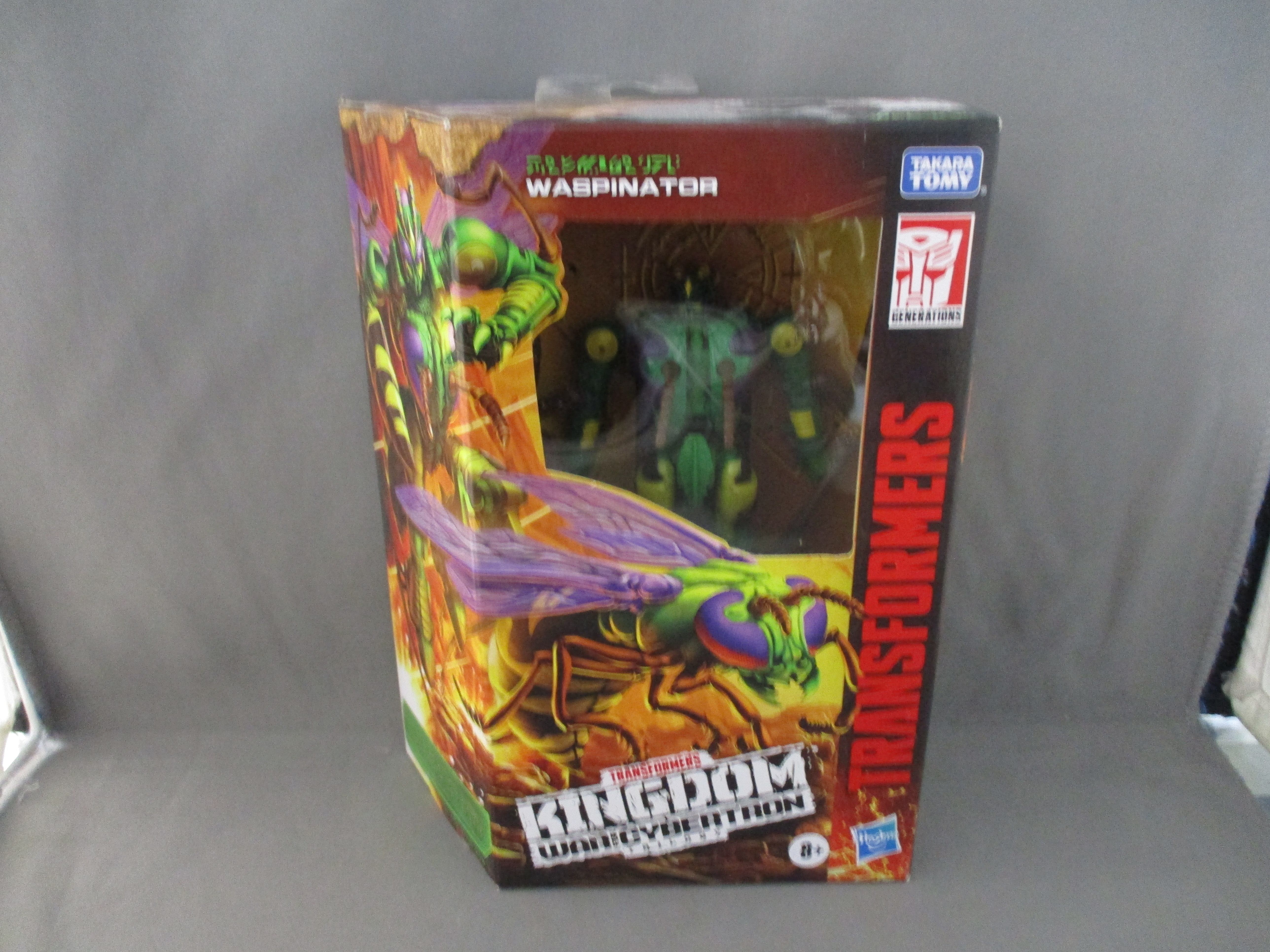Kingdom WFC Waspinator