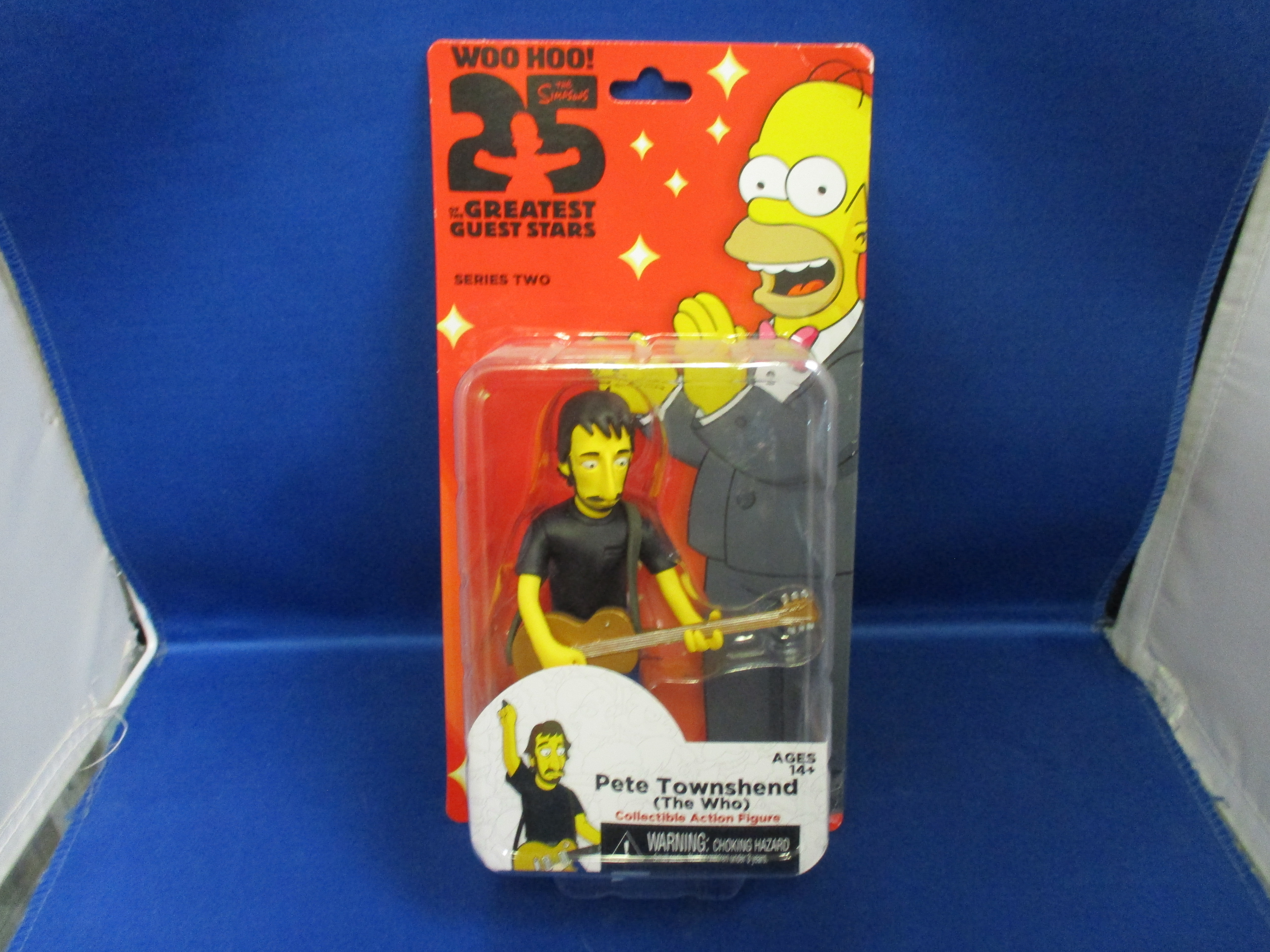 The Simpsons Neca Series Two Pete Townshend (the who)