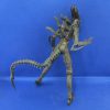 McFarlane Toys Alien Warrior