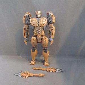 Tfs ROTB Cheetor