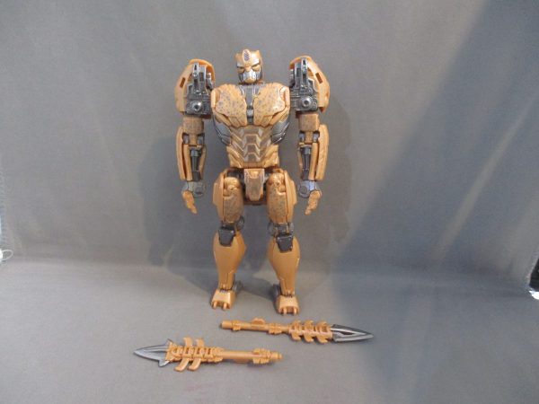 Tfs ROTB Cheetor