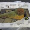 Gentle Giant Jabba the Hutt Diorama Palace Limited Edition Statue