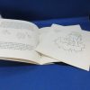 Read-Along Book and Record Care Bears Bedtime Story