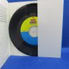 Read-Along Book and Record Care Bears 12 Days of Christmas