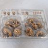 Tamashii Nations S.H.Figuarts Rock Beige Ver. Effect