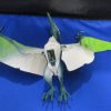 Hasbro Jurassic Park JP3 Tapejara
