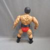 Remco AWA Rick Martel