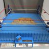 WWF Hasbro Wrestling Ring