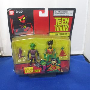 Teen Titans Go! Robin & Beast Boy