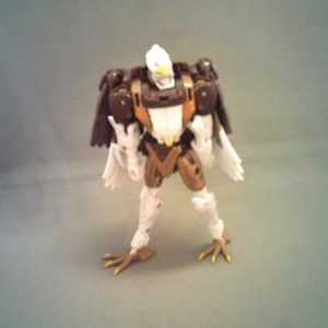 WFC Kingdom Maximal Skywarp